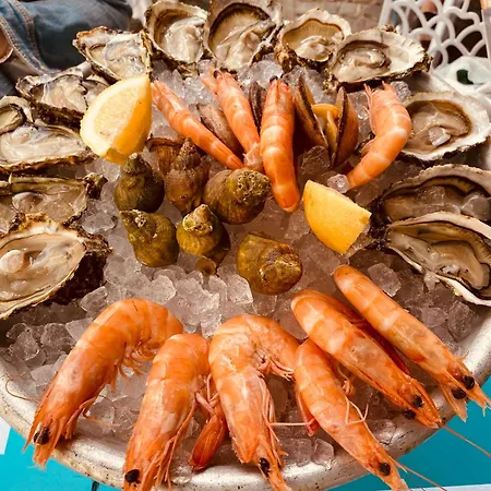 Grau Du Roi - Front De - Centre -rive Gauche